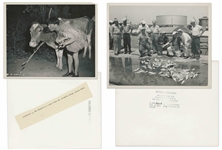 Eighteen 10 x 8 Photos With Shemp, From Various Three Stooges Films & Public Appearances -- 17 Glossy, 1 Matte Finish -- Very Good Condition -- List of Films at NateDSanders.com